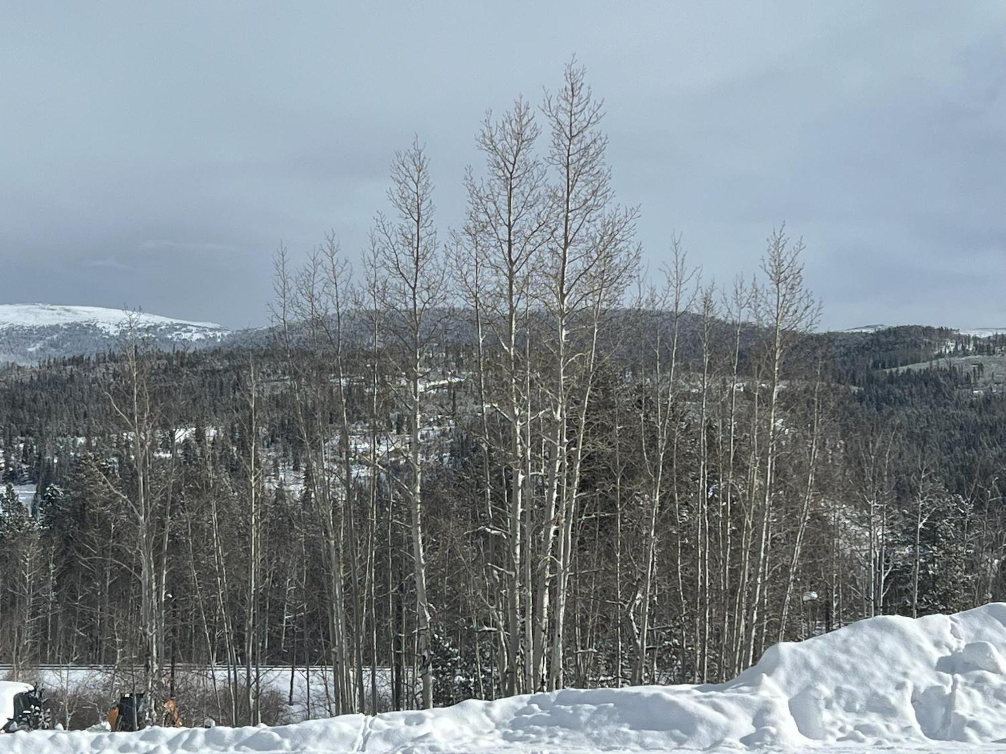 Silverado II Winter Park Eksteriør bilde